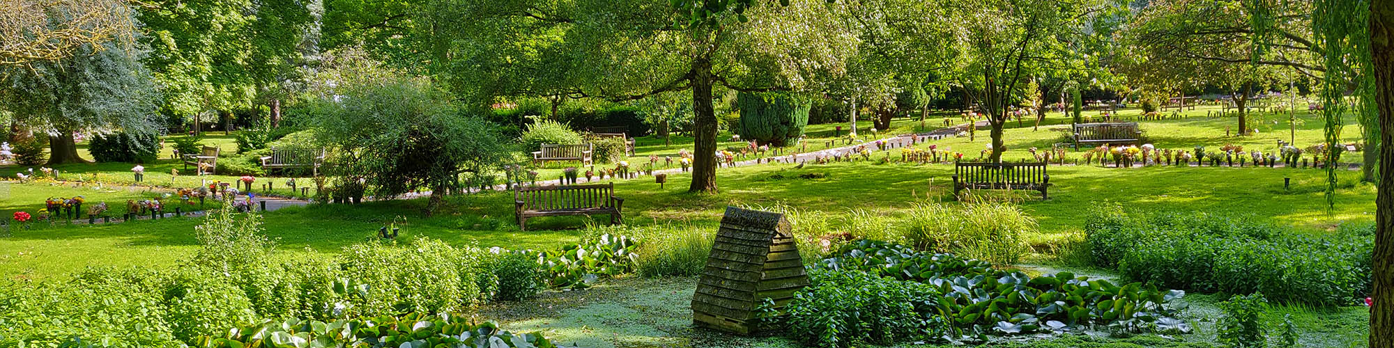 pond and gardens 1 2000x500