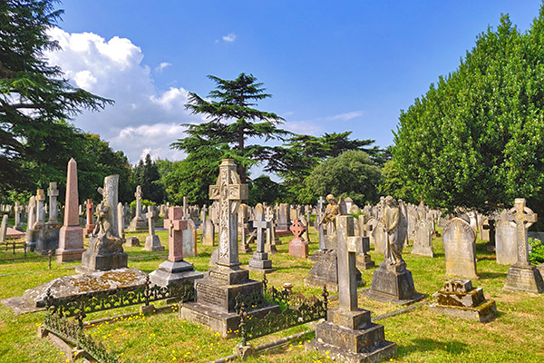 Cemetery grounds